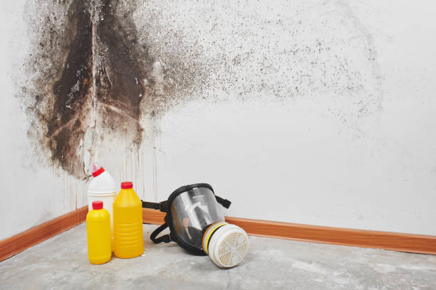 Best Crawl Space Mold Removal  in Collierville, CA