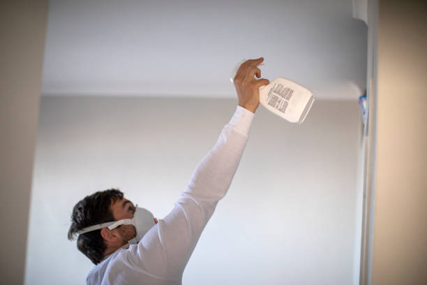 Best Mold Remediation  in Collierville, CA