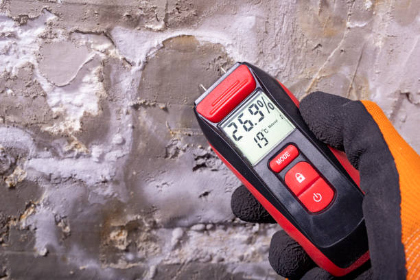 Best Toxic Mold Removal  in Collierville, CA