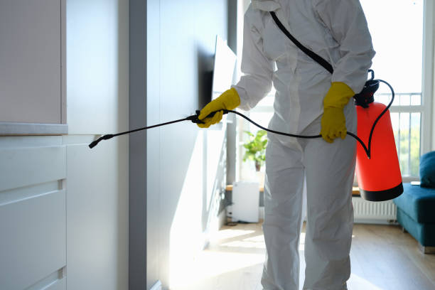 Collierville, CA Mold Removal Company